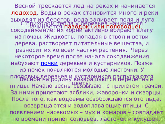 Весной трескается лед на реках и начинается ледоход . Воды в реках становится много и реки выходят из берегов, вода заливает поля и луга – начинается паводок (или половодье). С приходом тепла у деревьев начинается сокодвижение: их корни активно вбирают влагу из почвы. Жидкость, попадая в ствол и ветви дерева, растворяет питательные вещества, и разносит их ко всем частям растения. Через некоторое время после начала сокодвижения набухают почки деревьев и кустарников. Позже из почек появляются молодые листочки. У плодовых деревьев и кустарников распускаются цветы.   Весной на родину возвращаются перелетные птицы. Начало весны связывают с прилетом грачей. За ними прилетают зяблики, жаворонки и скворцы. После того, как водоемы освобождаются ото льда, возвращаются и водоплавающие птицы. С появлением насекомых – мух и комаров – совпадает по времени прилет соловьев, ласточек и кукушек.   