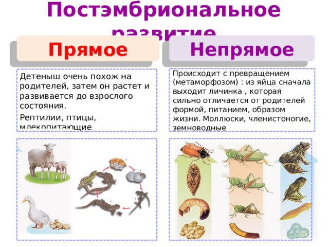 Воздействие радиации  