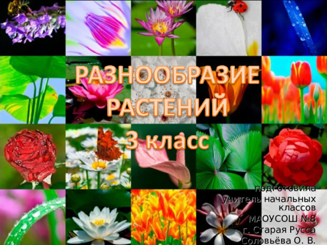 подготовила учитель начальных классов МАОУСОШ №8 г. Старая Русса Соловьёва О. В. 