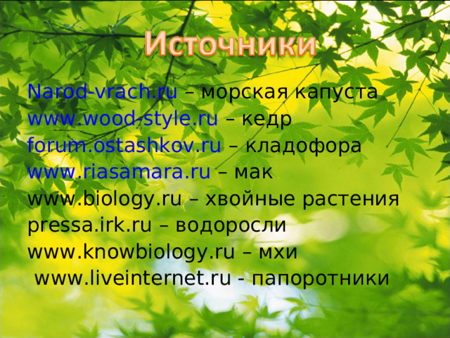 Narod-vrach.ru – морская капуста www.wood-style.ru – кедр forum.ostashkov.ru – кладофора www.riasamara.ru – мак www.biology.ru – хвойные растения pressa.irk.ru – водоросли www.knowbiology.ru – мхи   www.liveinternet.ru - папоротники 
