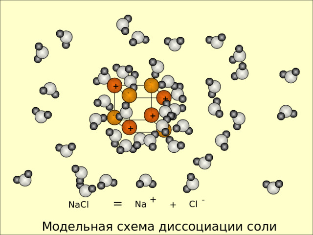 - + - + - + + - + - = +  NaCl  Cl Na Модельная схема диссоциации соли 