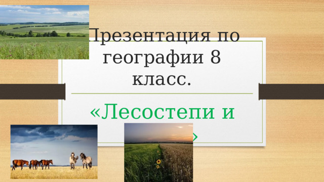 Презентация по географии 8 класс. «Лесостепи и степи» 