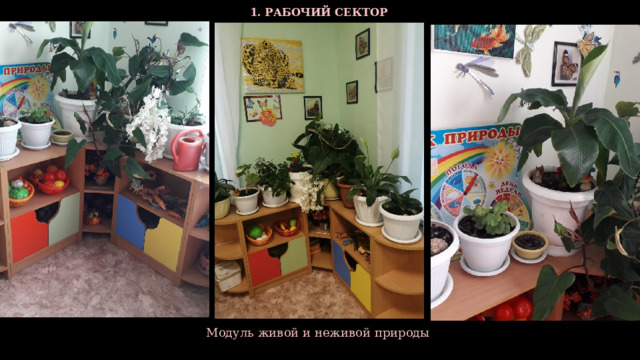  1. РАБОЧИЙ СЕКТОР  Модуль живой и неживой природы  