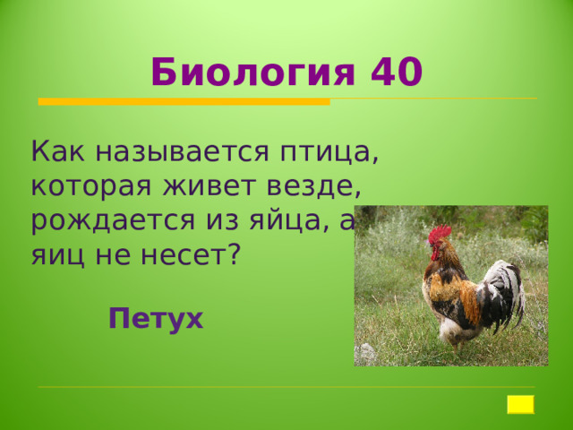 Биология 40 Как называется птица, которая живет везде, рождается из яйца, а сама яиц не несет? Петух 