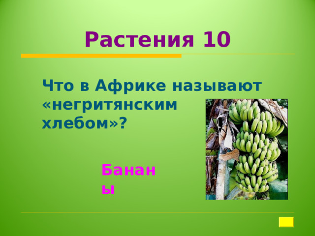 Растения 10 Что в Африке называют «негритянским хлебом»?  Бананы 