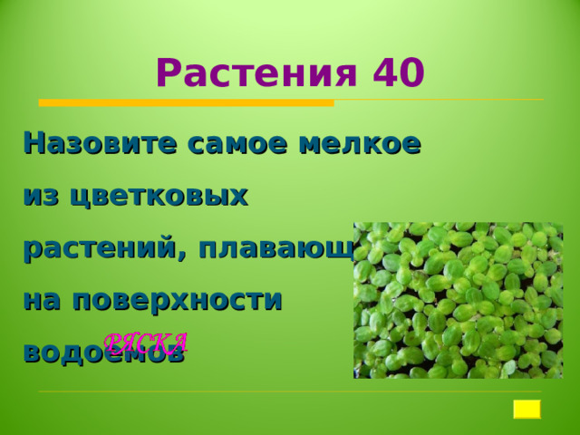 Растения 40 Назовите самое мелкое из цветковых растений, плавающих на поверхности водоемов 