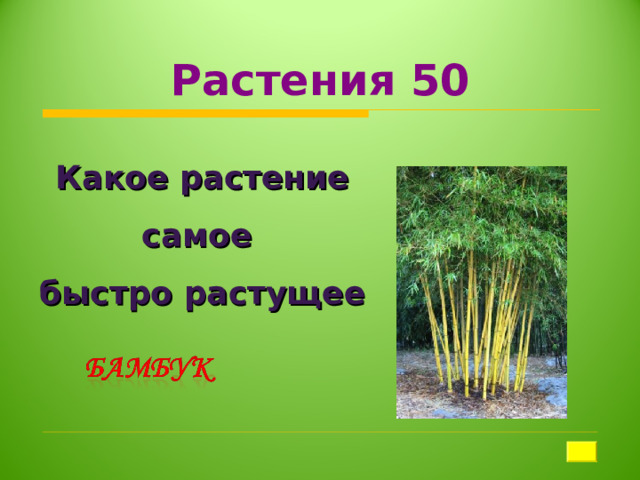 Растения 50 Какое растение самое быстро растущее 