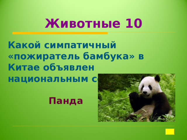 Животные 10 Какой симпатичный «пожиратель бамбука» в Китае объявлен национальным сокровищем?  Панда 