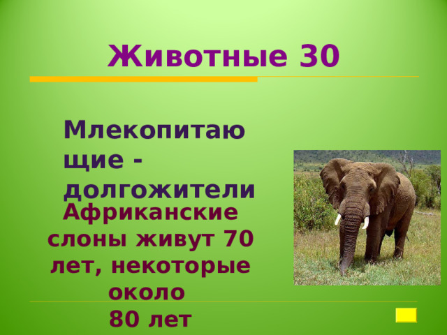 Животные 30 Млекопитающие - долгожители Африканские слоны живут 70 лет, некоторые около 80 лет 