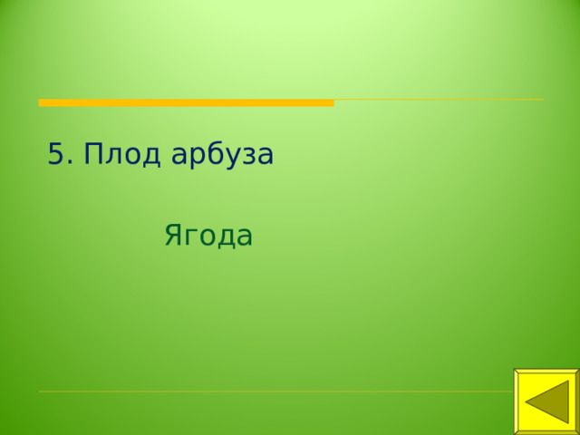 5. Плод арбуза Ягода 