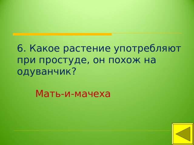 6. Какое растение употребляют при простуде, он похож на одуванчик? Мать-и-мачеха 