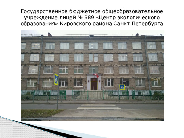 Государственное бюджетное общеобразовательное учреждение лицей № 389 «Центр экологического образования» Кировского района Санкт-Петербурга 