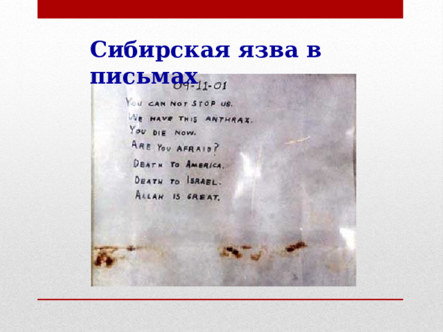 Сибирская язва в письмах 
