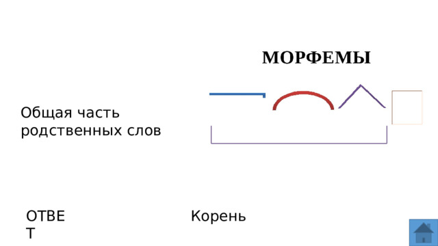 Общая часть родственных слов ОТВЕТ Корень  