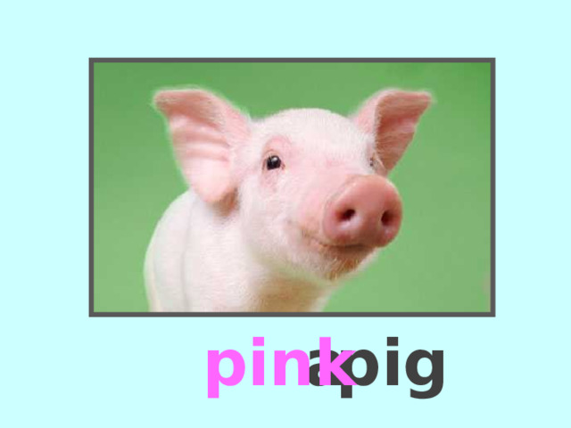              a  pig  pink  