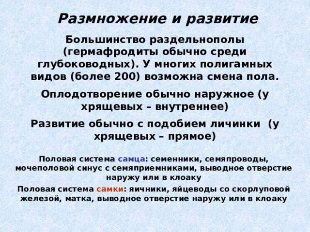 Размножение и развитие Большинство раздельнополы (гермафродиты обычно среди глубоководных). У многих полигамных видов (более 200) возможна смена пола. Оплодотворение обычно наружное (у хрящевых – внутреннее) Развитие обычно с подобием личинки (у хрящевых – прямое) Половая система самца : семенники, семяпроводы, мочеполовой синус с семяприемниками, выводное отверстие наружу или в клоаку Половая система самки : яичники, яйцеводы со скорлуповой железой, матка, выводное отверстие наружу или в клоаку 