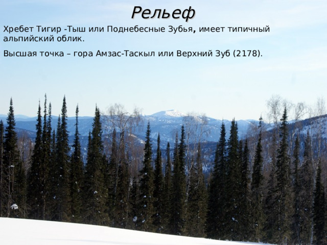 Рельеф Хребет Тигир -Тыш или Поднебесные Зубья , имеет типичный альпийский облик. Высшая точка – гора Амзас-Таскыл или Верхний Зуб (2178).  