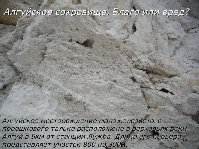 Алгуйское сокровище. Благо или вред? Алгуйское месторождение маложелезистого порошкового талька расположено в верховьях реки Алгуй в 9км от станции Лужба. Длина его карьера представляет участок 800 на 300 м.  
