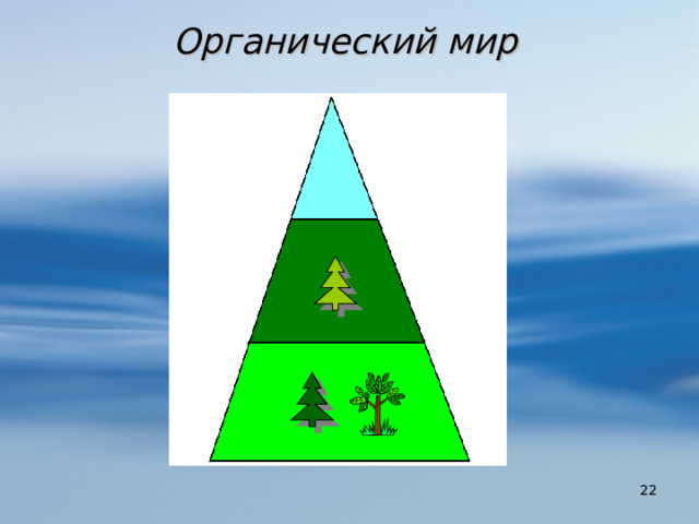 Органический мир  