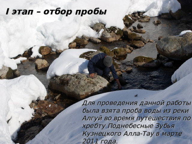 I этап – отбор пробы Для проведения данной работы была взята проба воды из реки Алгуй во время путешествия по хребту Поднебесные Зубья Кузнецкого Алла-Тау в марте 2011 года.  