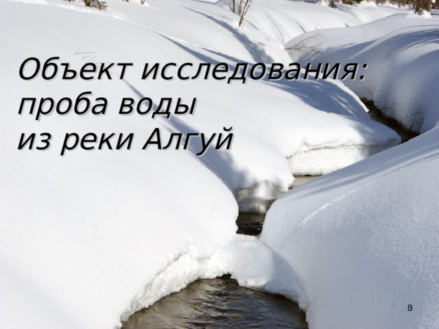 Объект исследования: проба воды из реки Алгуй   