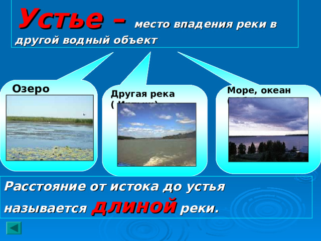Устье – место впадения реки в другой водный объект Озеро (Волга) Море, океан ( Обь) Другая река ( Иртыш) Расстояние от истока до устья называется длиной реки. 