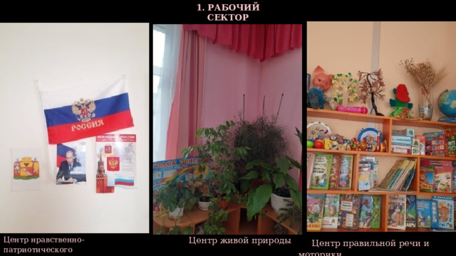 1. РАБОЧИЙ СЕКТОР Центр нравственно-патриотического  Центр живой природы  воспитания  Центр правильной речи и моторики 