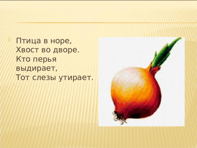 Птица в норе,  Хвост во дворе.  Кто перья выдирает,  Тот слезы утирает.   