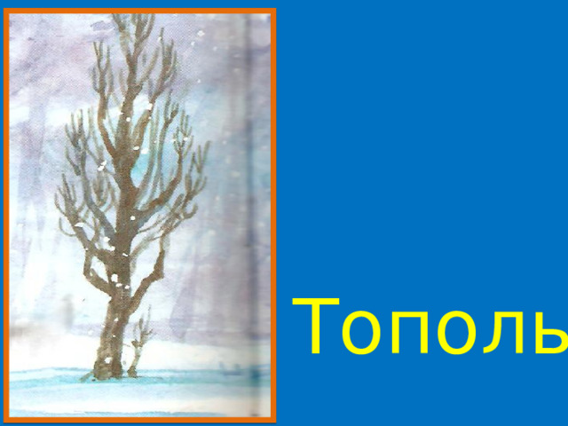 Тополь 