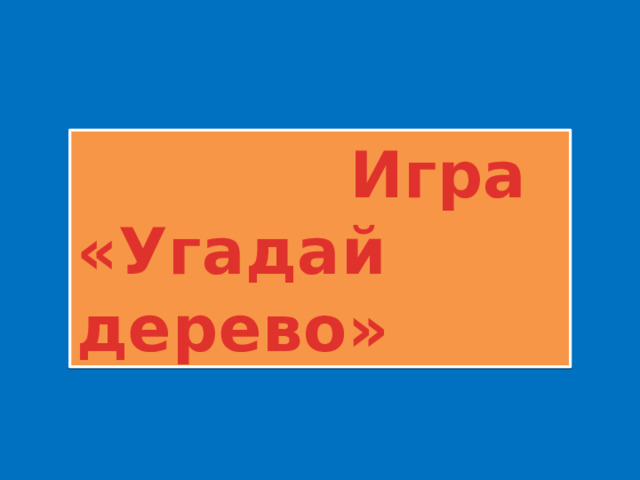  Игра «Угадай дерево» 
