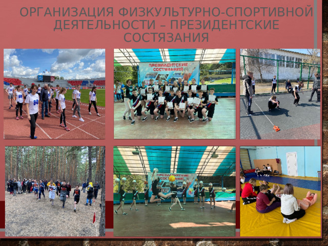 Организация физкультурно-спортивной деятельности – Президентские состязания 