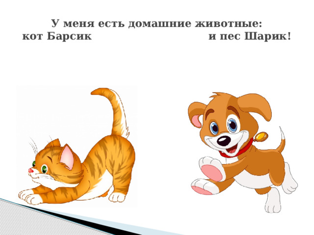 У меня есть домашние животные:  кот Барсик и пес Шарик! 