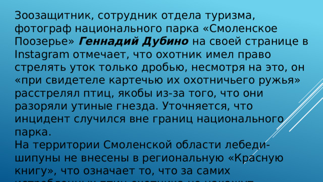 Зоозащитник, сотрудник отдела туризма, фотограф национального парка «Смоленское Поозерье» Геннадий Дубино на своей странице в Instagram отмечает, что охотник имел право стрелять уток только дробью, несмотря на это, он «при свидетеле картечью их охотничьего ружья» расстрелял птиц, якобы из-за того, что они разоряли утиные гнезда. Уточняется, что инцидент случился вне границ национального парка.  На территории Смоленской области лебеди-шипуны не внесены в региональную «Красную книгу», что означает то, что за самих истребленных птиц охотника не накажут. 