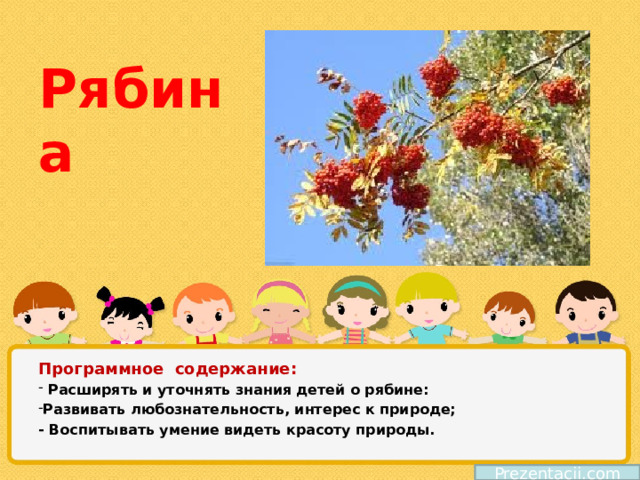     Рябина Программное содержание:  Расширять и уточнять знания детей о рябине: Развивать любознательность, интерес к природе; - Воспитывать умение видеть красоту природы. Prezentacii.com  