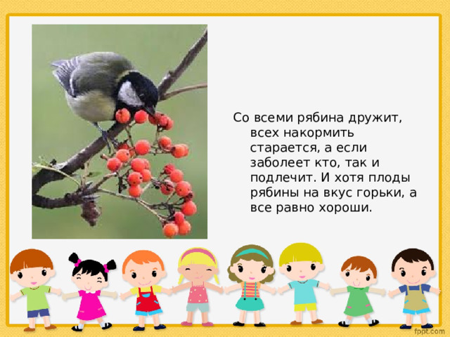 Со всеми рябина дружит, всех накормить старается, а если заболеет кто, так и подлечит. И хотя плоды рябины на вкус горьки, а все равно хороши. 