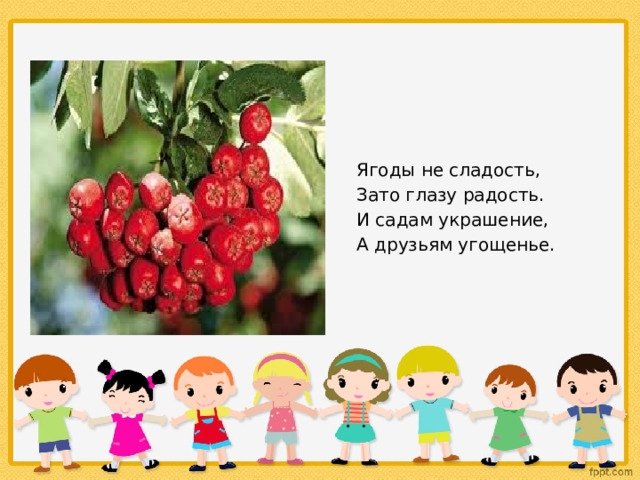 Ягоды не сладость, Зато глазу радость. И садам украшение, А друзьям угощенье. 