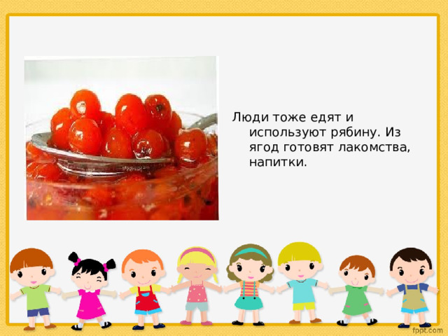 Люди тоже едят и используют рябину. Из ягод готовят лакомства, напитки. 
