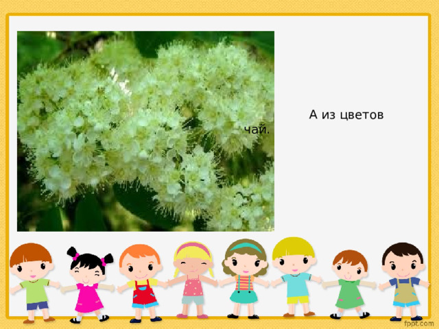  А из цветов чай. 