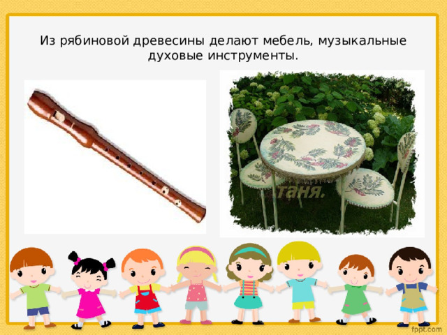 Из рябиновой древесины делают мебель, музыкальные духовые инструменты. 