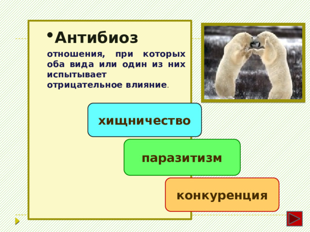  Один из организмов извлекает из взаимоотношения пользу, для другого взаимоотношения нейтральны Комменсализм или нахлебничество Акула и рыба - прилипала Лев и гиены 