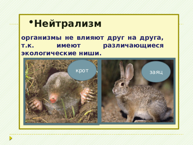 Совместное существование выгодно обоим видам, но не обязательно для них. Протокооперация 
