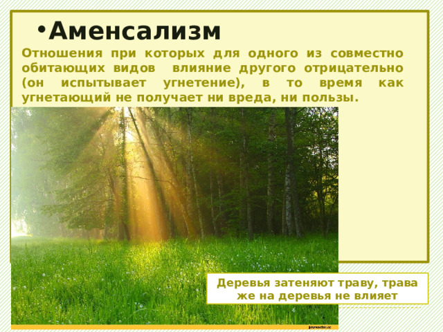 Оба вида извлекают пользу из совместного существования и не могут жить самостоятельно . Мутуализм лишайники 