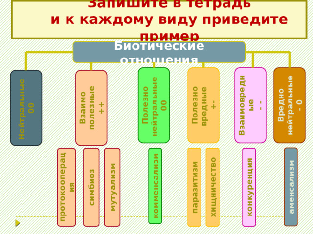 Антибиоз Антибиоз  отношения, при которых оба вида или один из них испытывает отрицательное влияние . хищничество паразитизм конкуренция 