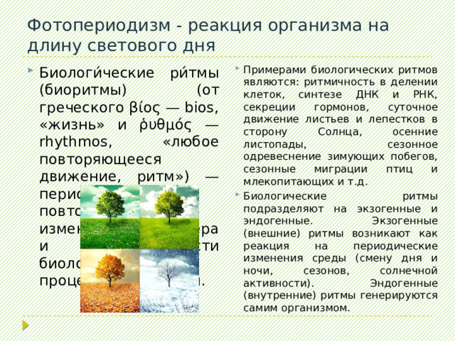  Борьба за одни и те же условия окружающей среды между разными видами (межвидовая) или внутри одного вида (внутривидовая) Конкуренция Внутривидовая борьба за свет между соснами 