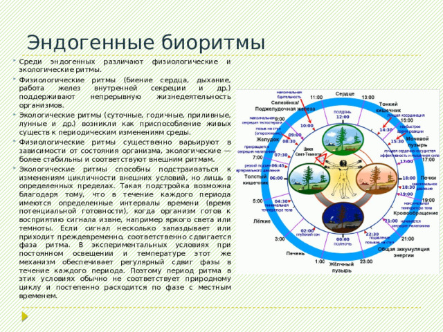 Нейтрализм Нейтрализм  организмы не влияют друг на друга, т.к. имеют различающиеся экологические ниши. крот заяц 