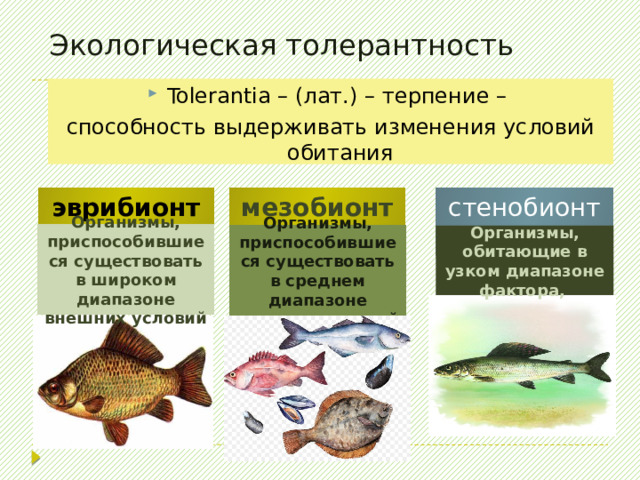 Аменсализм Отношения при которых для одного из совместно обитающих видов влияние другого отрицательно (он испытывает угнетение), в то время как угнетающий не получает ни вреда, ни пользы. Деревья затеняют траву, трава же на деревья не влияет 