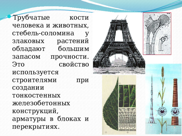 Трубчатые кости человека и животных, стебель-соломина у злаковых растений обладают большим запасом прочности. Это свойство используется строителями при создании тонкостенных железобетонных конструкций, арматуры в блоках и перекрытиях. 
