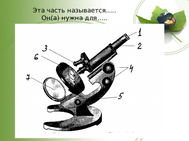 Эта часть называется…..  Он(а) нужна для….. 