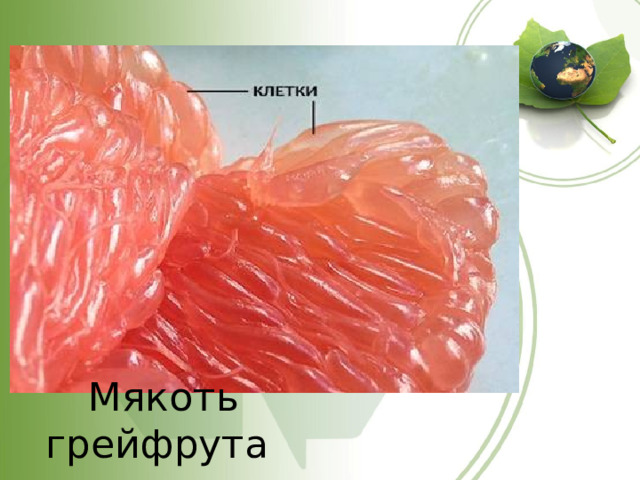 Мякоть грейфрута 