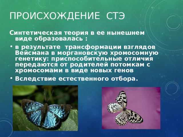  Происхождение стэ Синтетическая теория в ее нынешнем виде образовалась : в результате трансформации взглядов Вейсмана в моргановскую хромосомную генетику: приспособительные отличия передаются от родителей потомкам с хромосомами в виде новых генов Вследствие естественного отбора. 